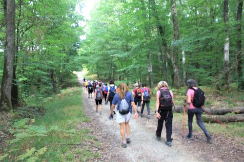 AS Mantaise pédestre septembre 2022 forêt