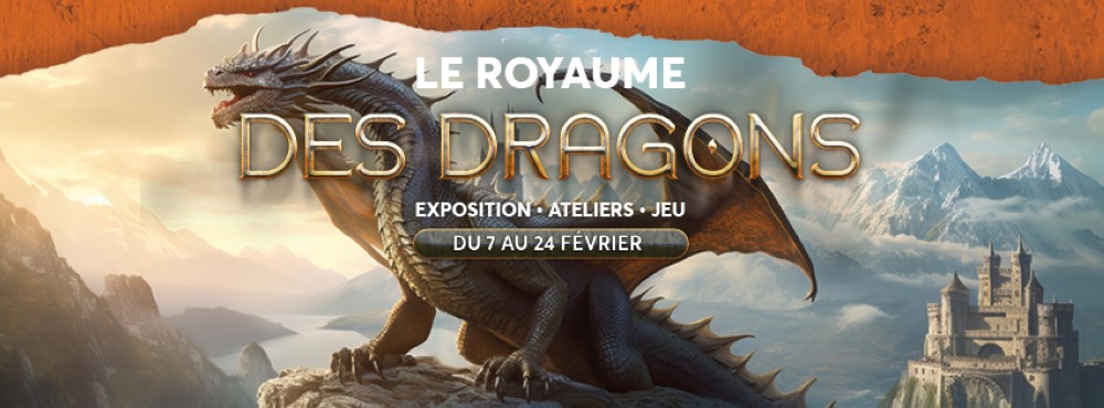 Les DRAGONS envahissent le centre commercial Aushopping Mantes-Buchelay !