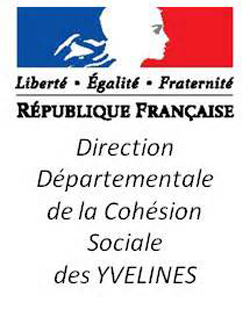 DDCS des Yvelines logo