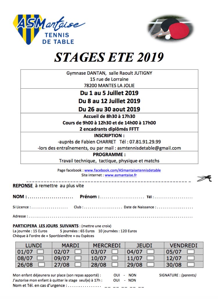 Stages Tennis de Table PingPong Mantes la Jolie Ete 2019